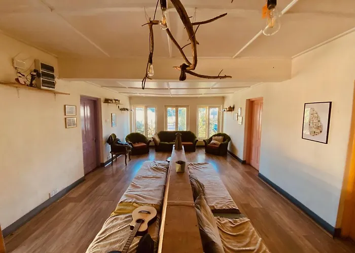 Pet Friendly hotel: Laughing Leopard Hostel