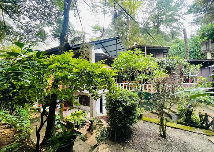 Guest house: King Fern Cottage