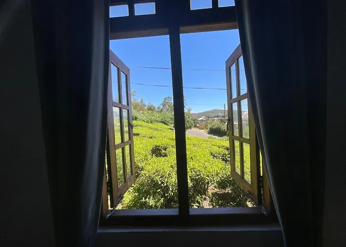 Green Villa